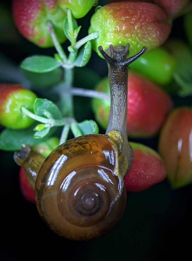 Photograph by Bistupada