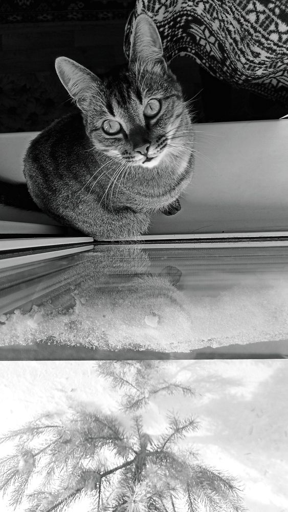 Photograph by Анна Дудкина
