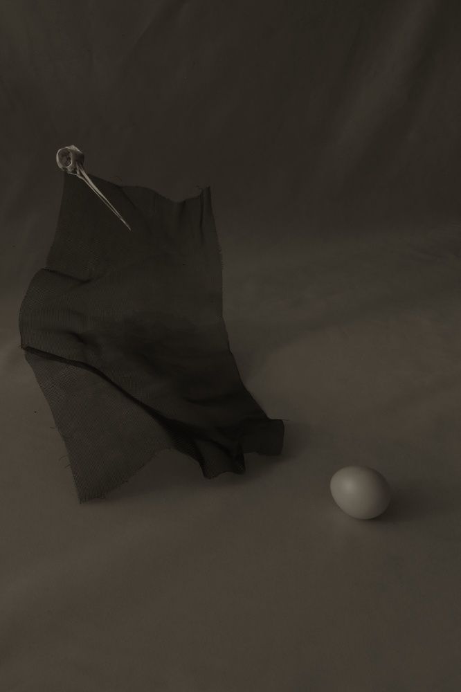 Photograph by Елена Измакова