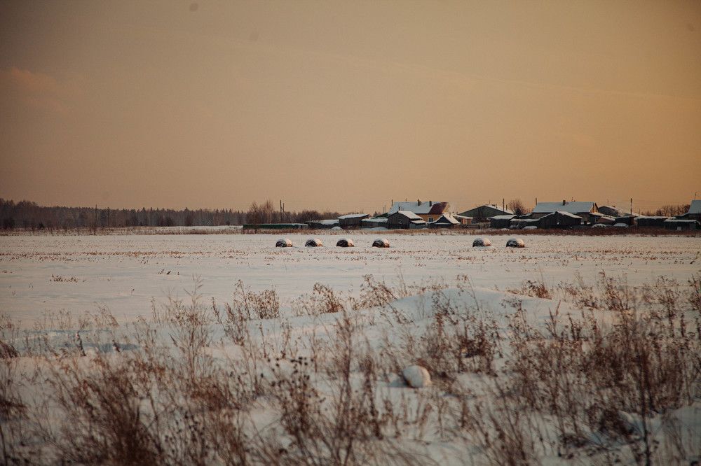 Photograph by Лариса Цепелева