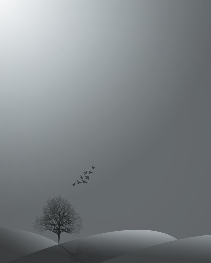 Photograph by iman hafezkhan