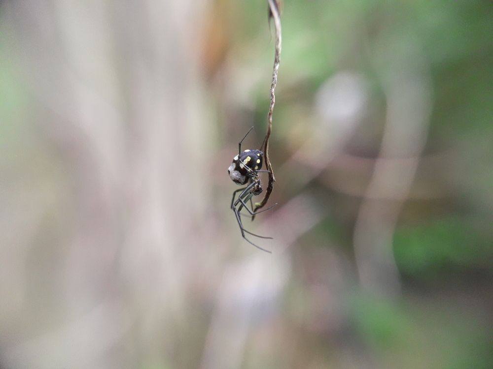 Photograph by Terence Ignatius