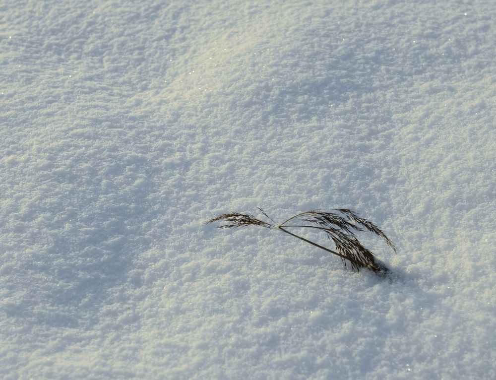 Photograph by Екатерина Малинина