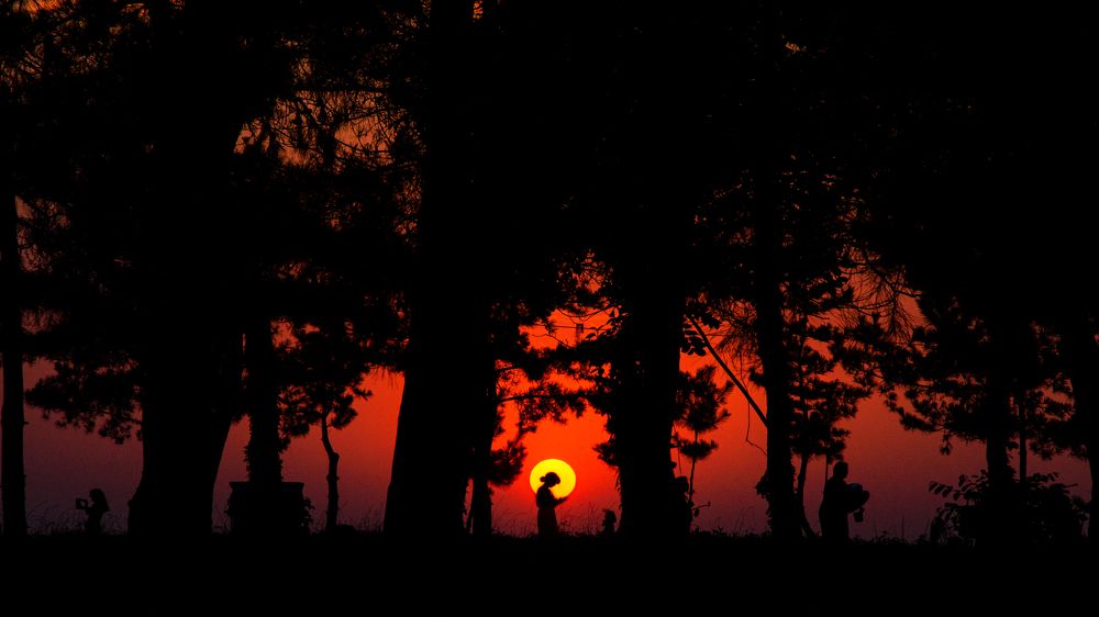 Photograph by Valentina Maghakelidze