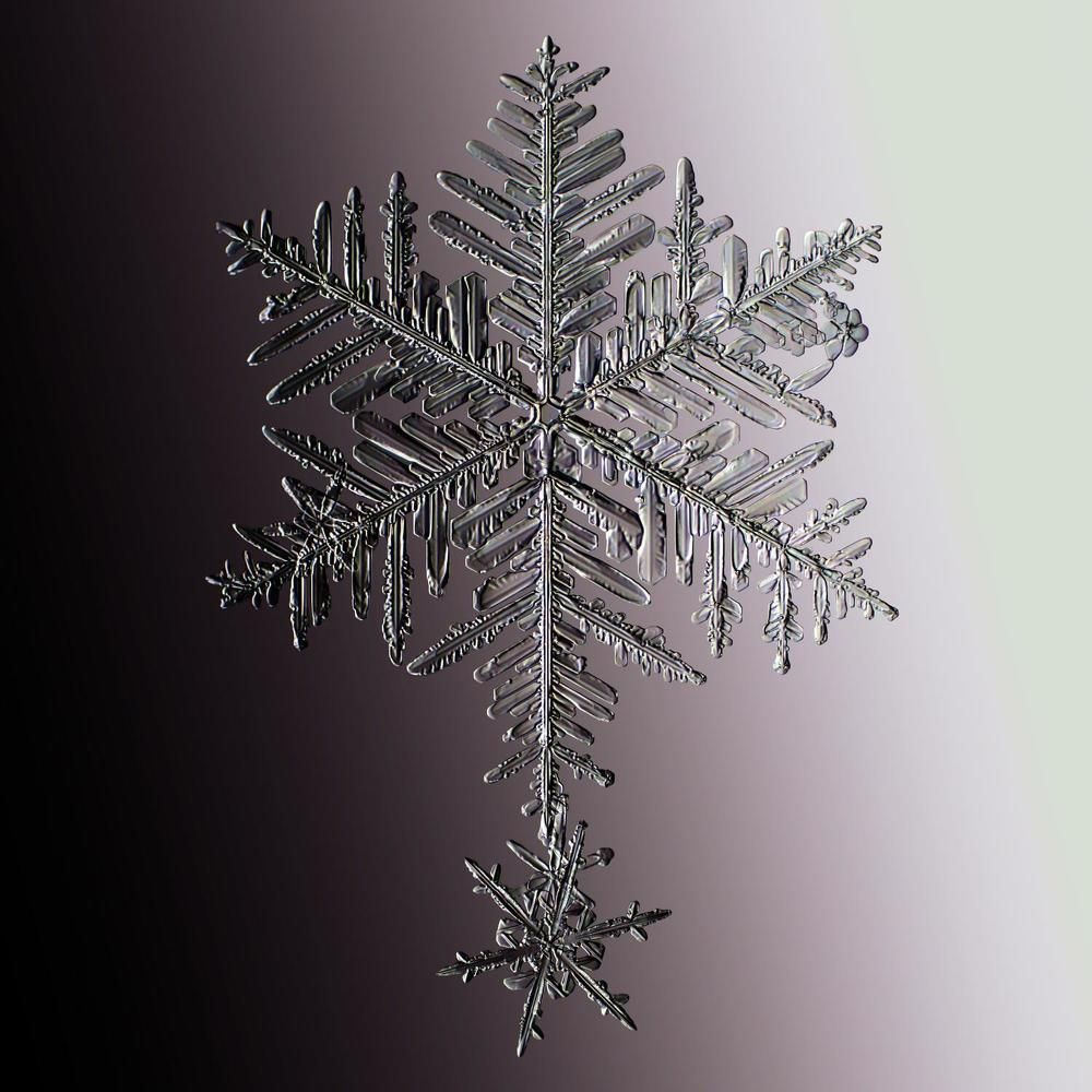 Photograph by Тимофей Черепанов