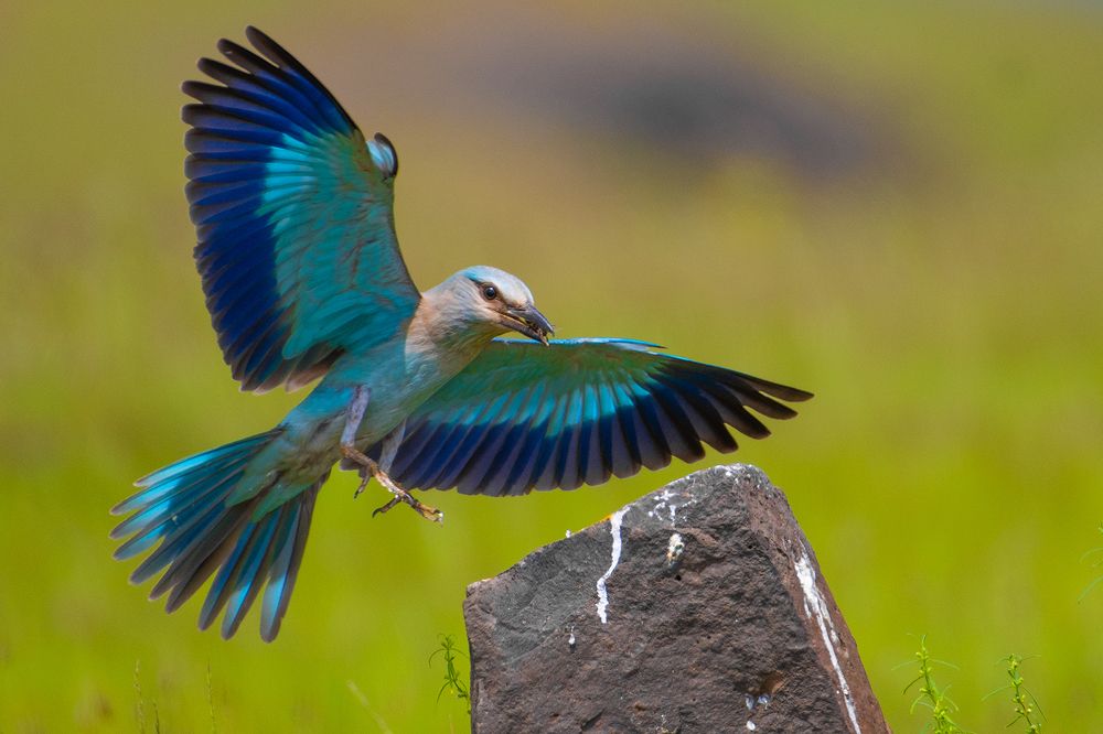 Photograph by Swayam Thakkar