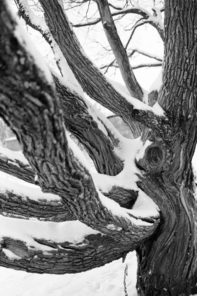 Photograph by Юлия Золотухина