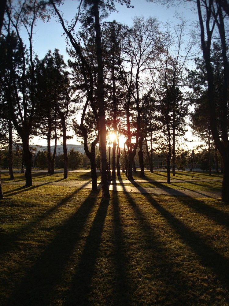 Photograph by Nosirjon Dekhkanov