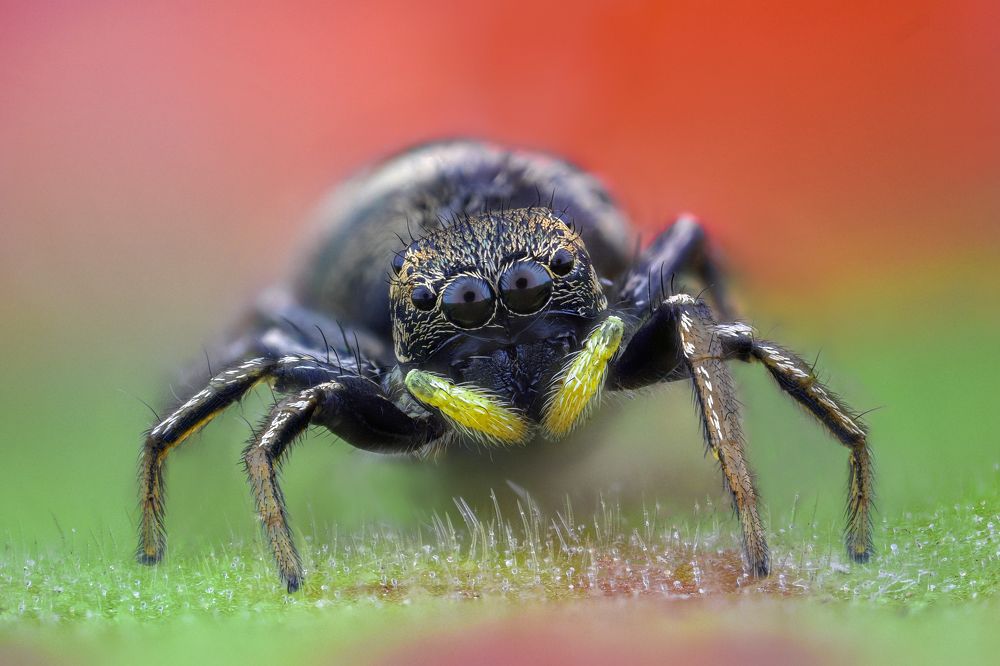 Photograph by Tsvetan Ganev