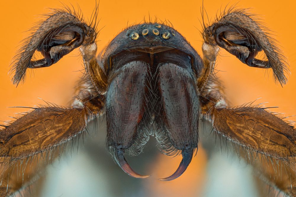 Photograph by Tsvetan Ganev