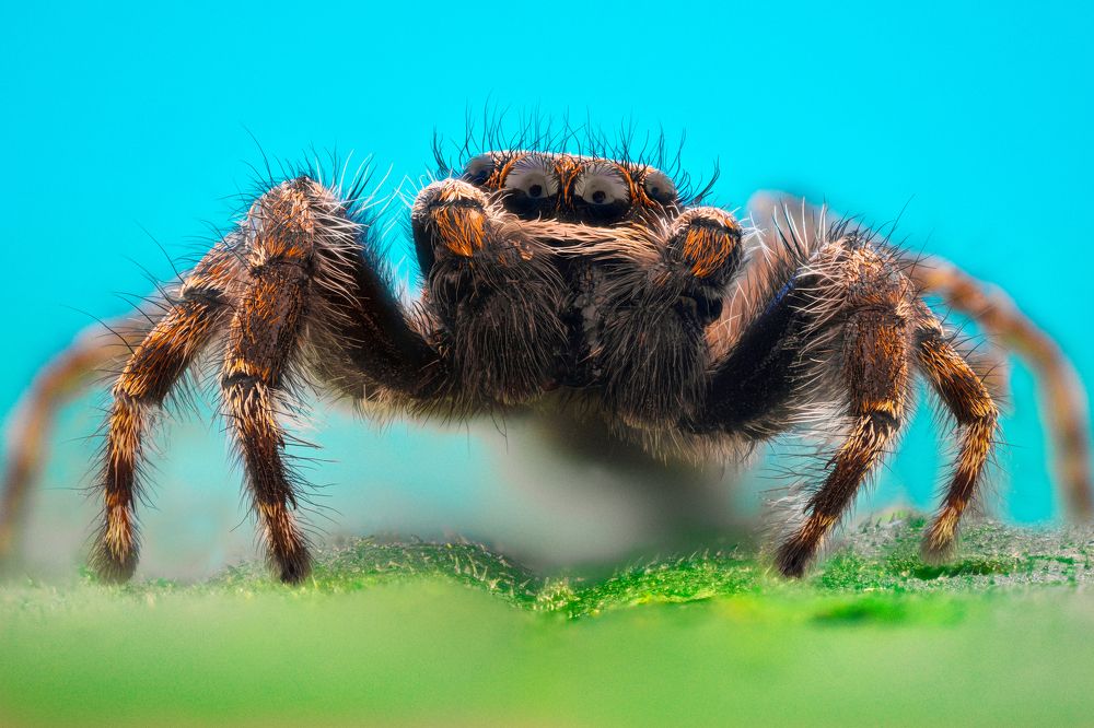 Photograph by Tsvetan Ganev