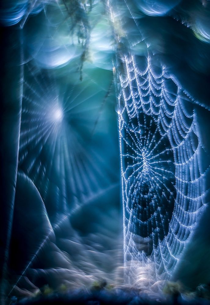 Бесполётная зона