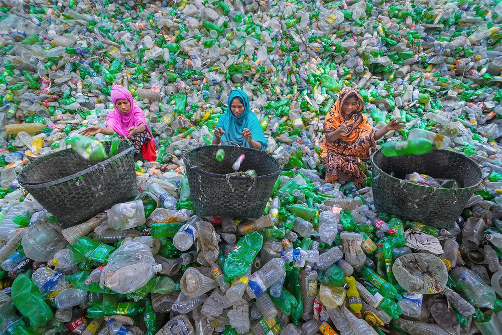 Plastic Bottle Recycling