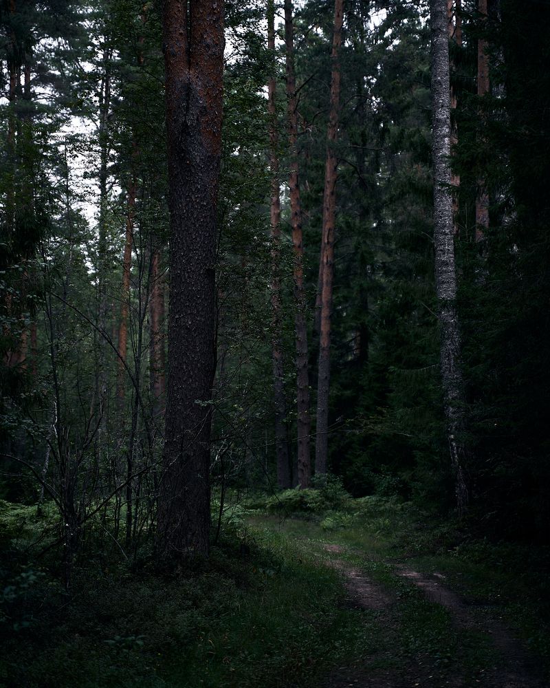 Фотография автора Александр Османов