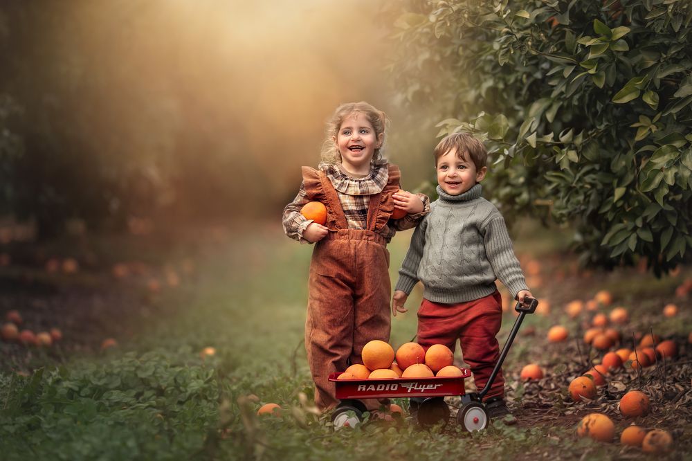 Photograph by Hamutal Avioz