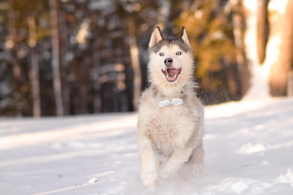 Фотография автора Мария Яропольская