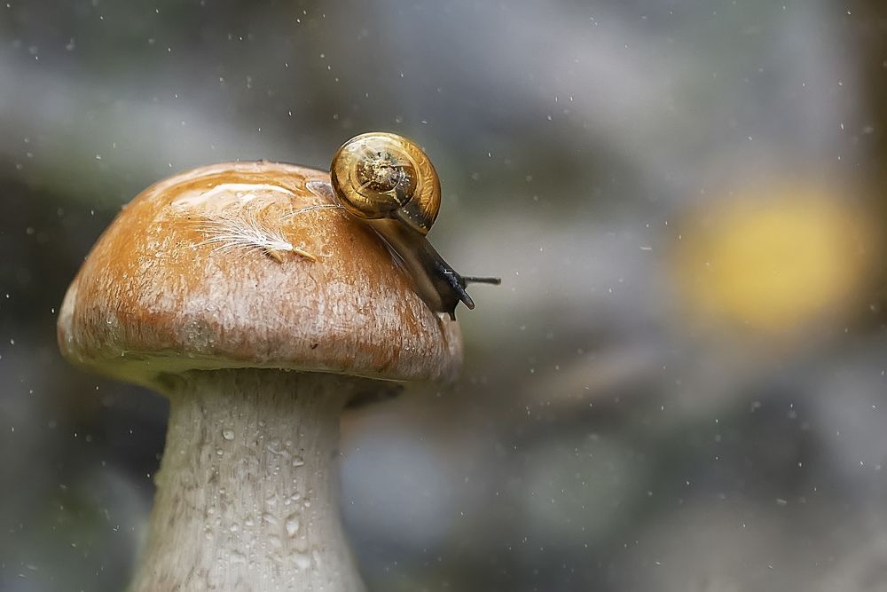 Photograph by Полина Васеева