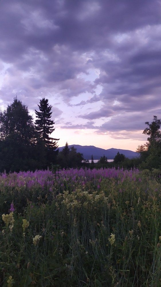 Photograph by Евгений