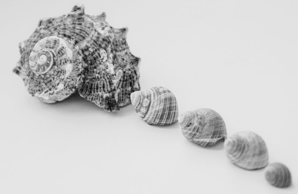 Photograph by Ольга Ситникова