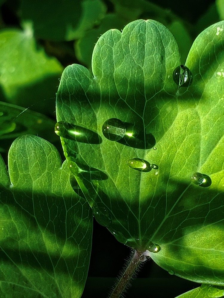 Photograph by Светлана