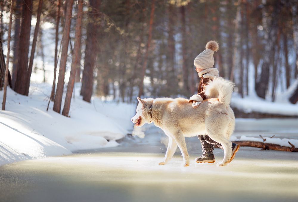 Photograph by Карина Кирина