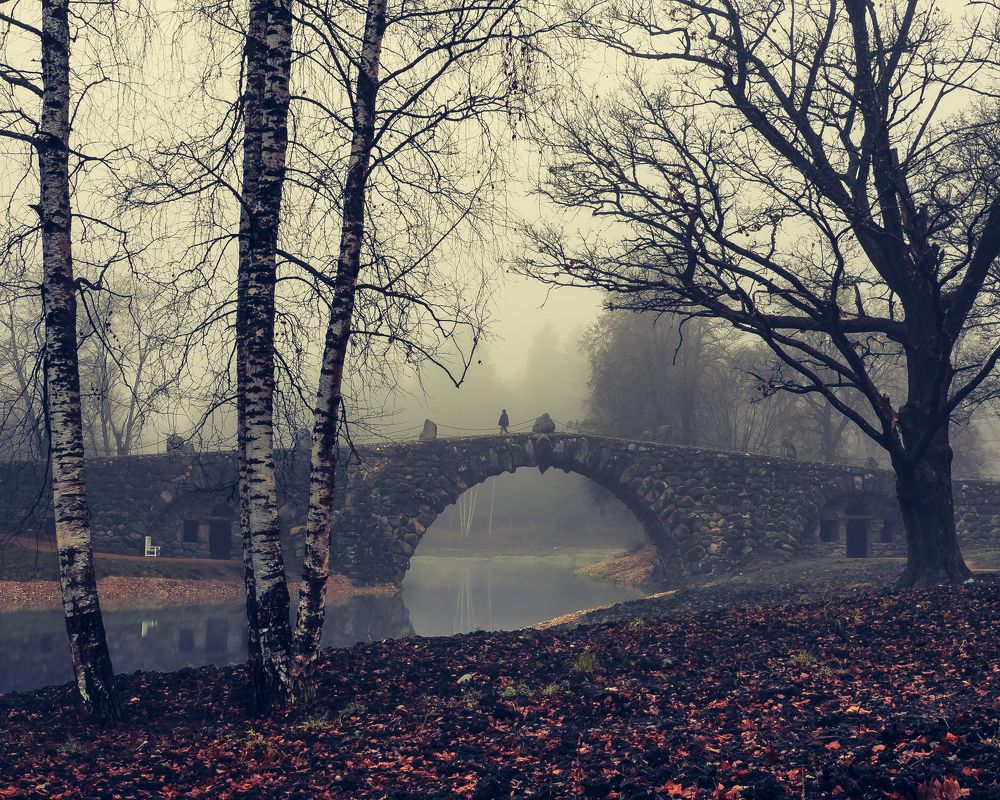 Photograph by Сергей Богданов