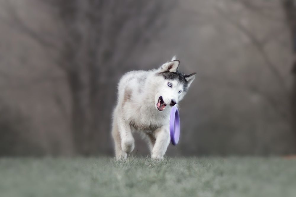 Фотография автора Мария Яропольская