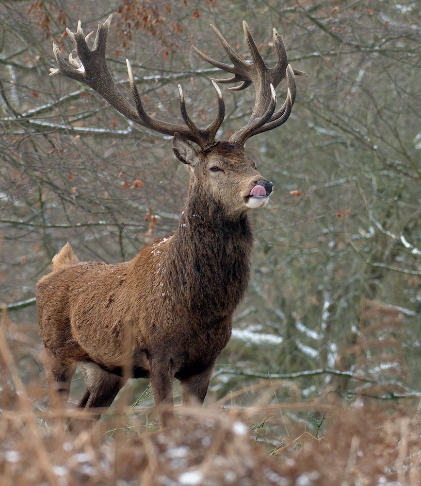 Фотография автора Kowalski Jaroslaw