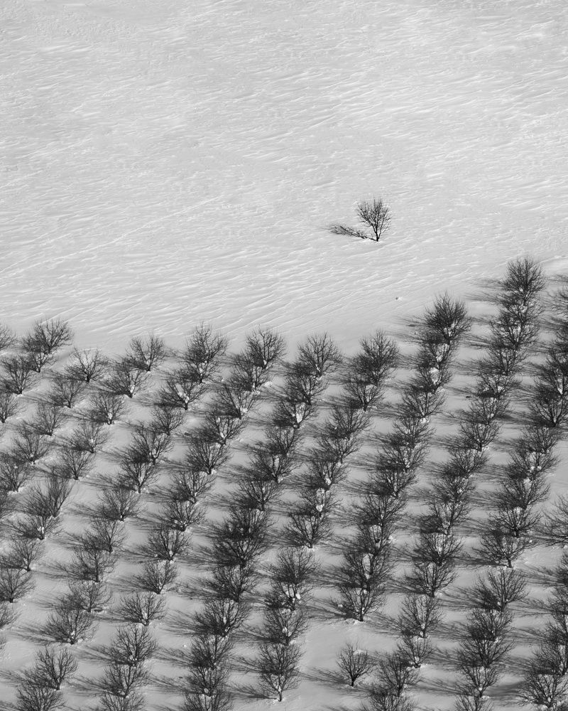 Фотография автора Alipour mohammad