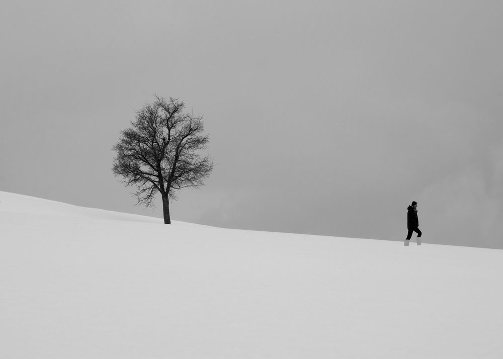 Фотография автора Alipour mohammad