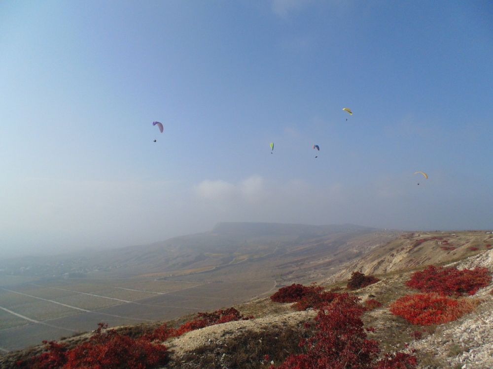 Photograph by Стаскевич Татьяна