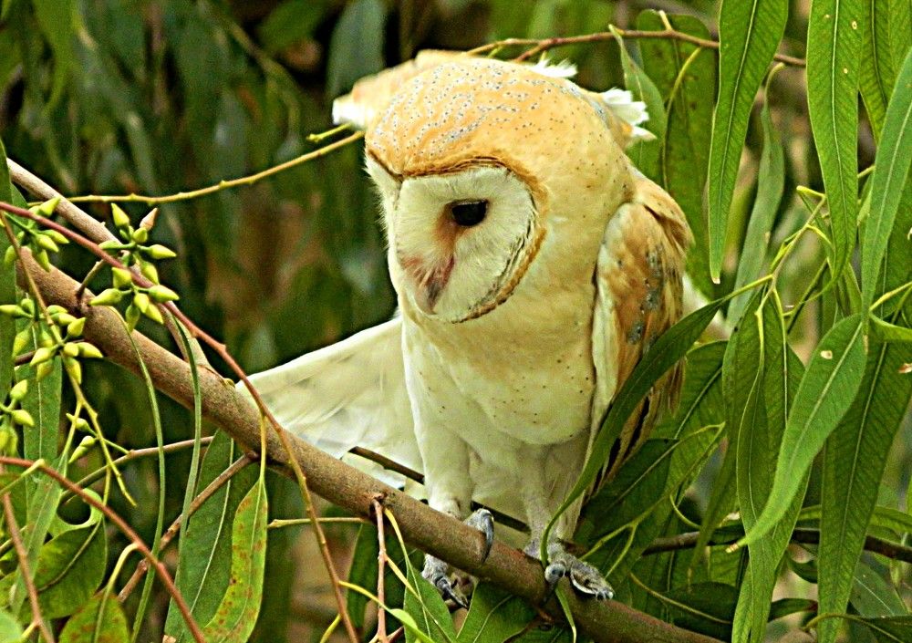 Photograph by Сергей Рапопорт