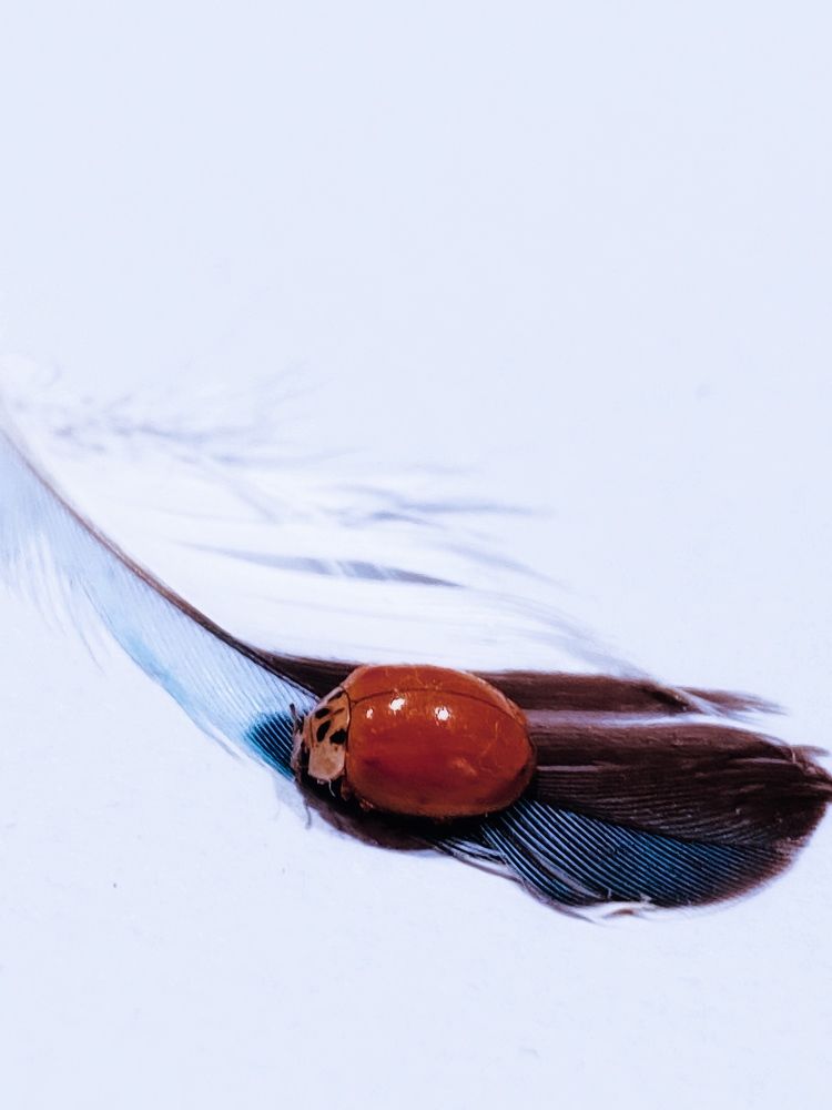 Photograph by Ольга Скиба