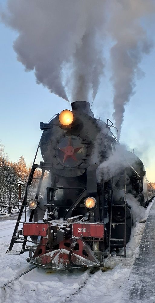 Photo #7255388