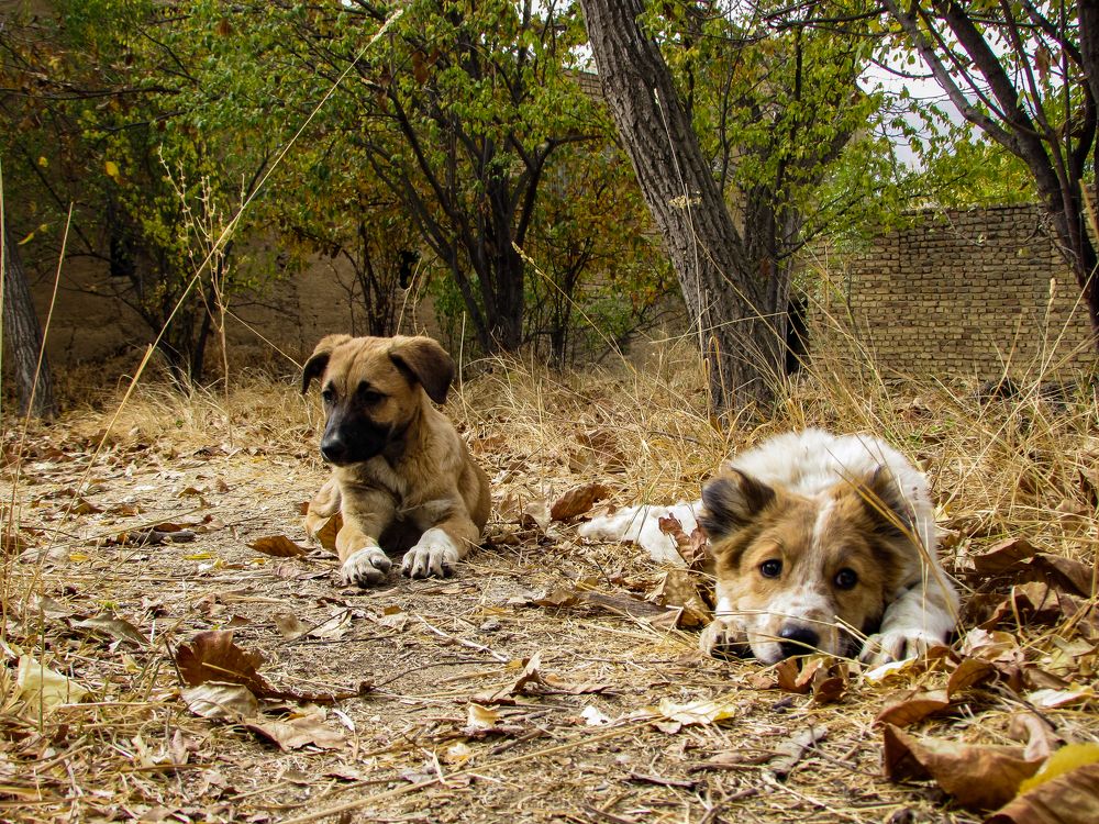 Photograph by Moein Gheysari