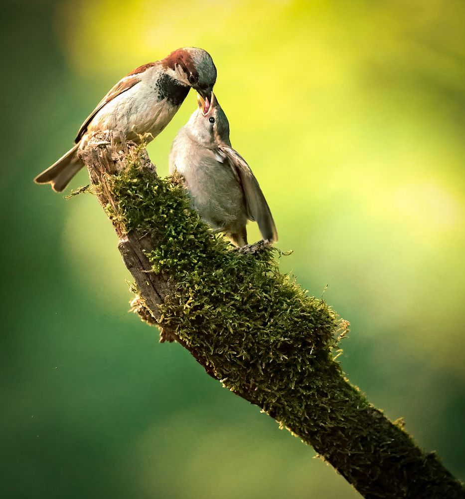 Photograph by CANG BOUN