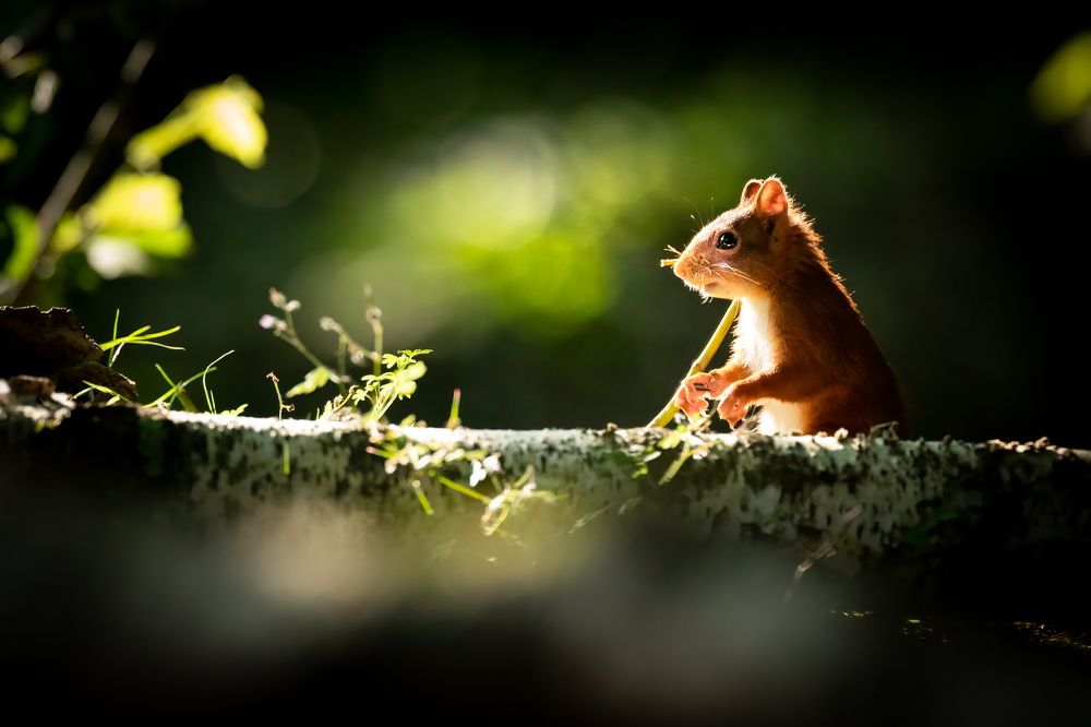 Photograph by CANG BOUN