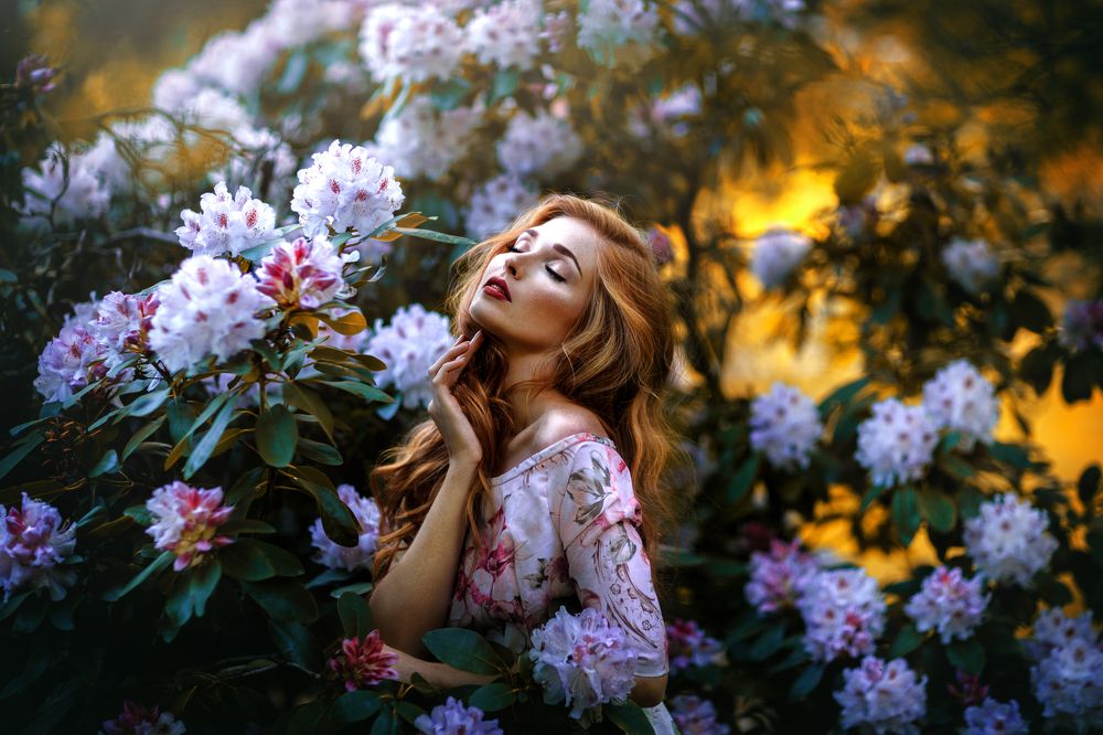 Photograph by Melanie Dietze