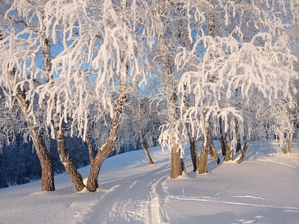 Фотография автора Кухта Мария