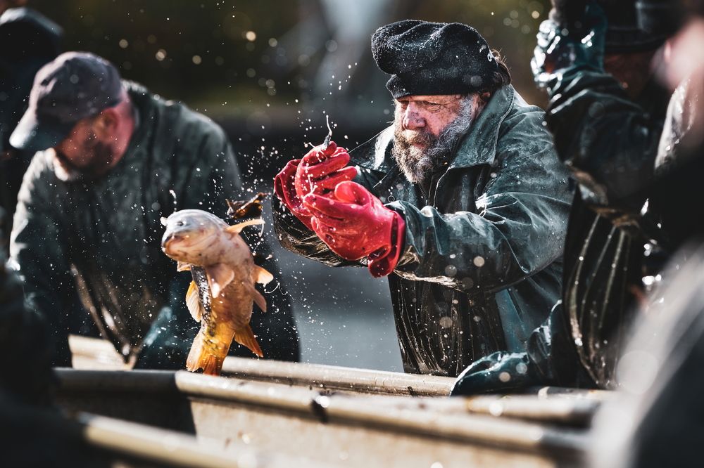 Photograph by Zdeněk Dvořák