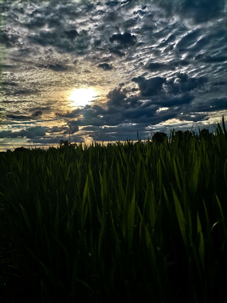 Photograph by Алина Цилык