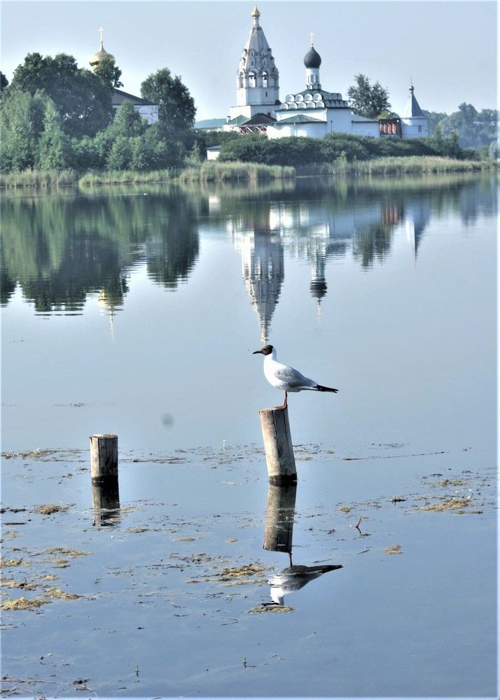 Photograph by тамара Tamara Chubuck