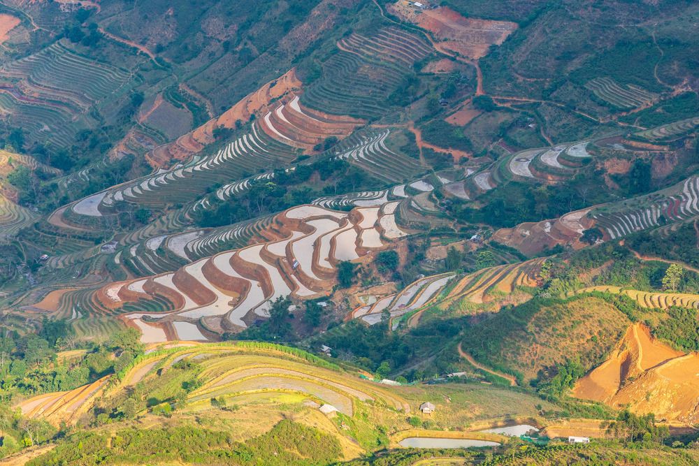 Фотография автора Nguyen Duc