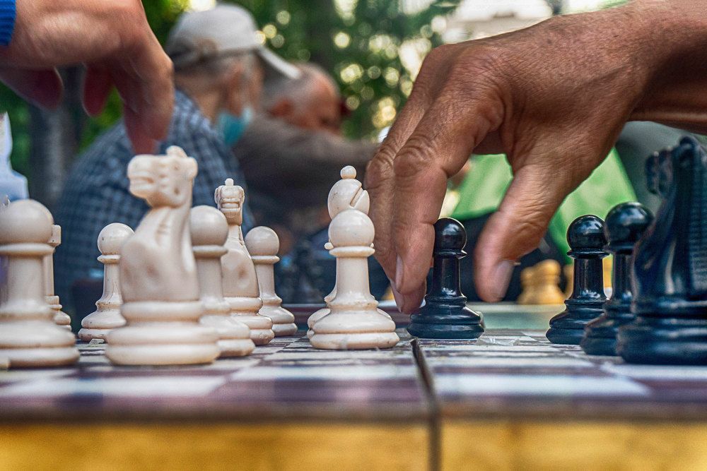 Шахматисты