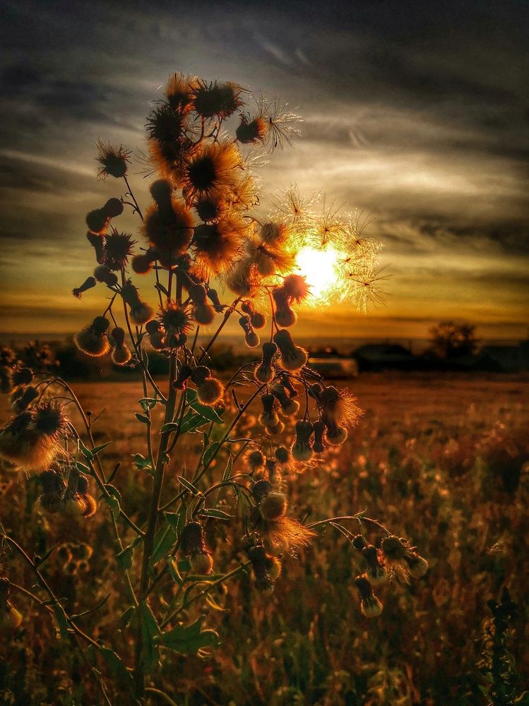 Photograph by Oxana Kostsova