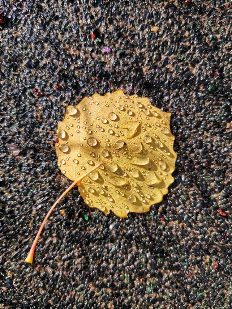 Photograph by Oxana Kostsova