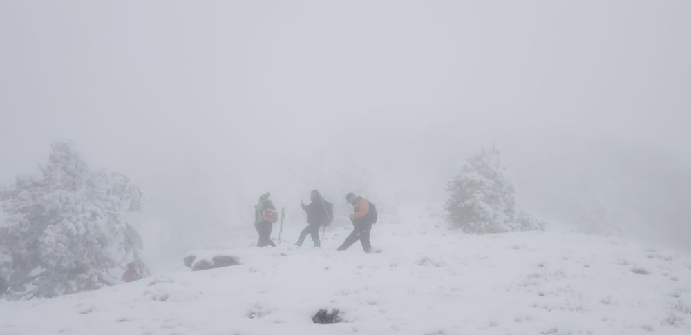 Photo #7255994