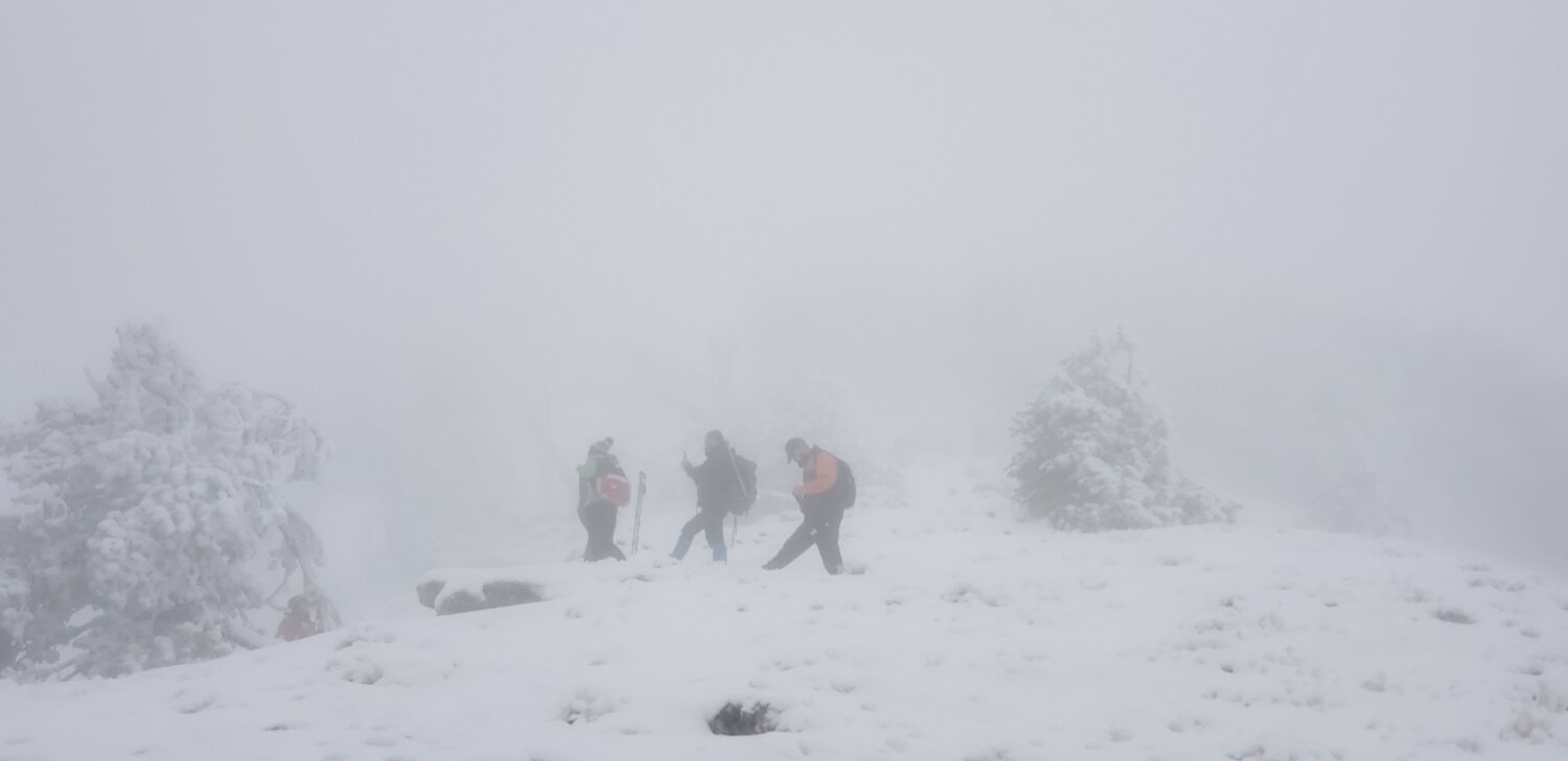 Photo #7255994