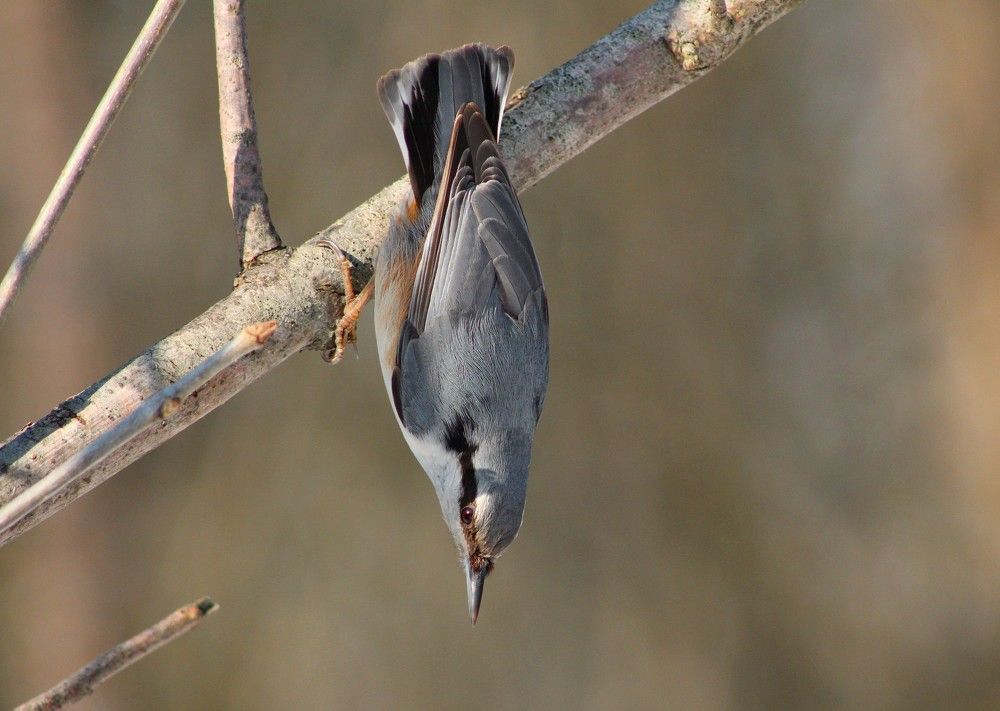 Photograph by Galina Tsmyg