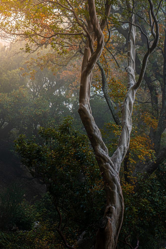 Фотография автора Сергей Костылёв